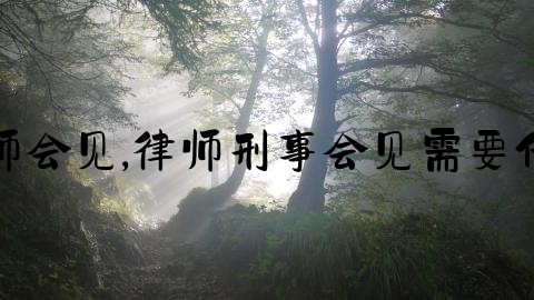 拘留律师会见,律师刑事会见需要什么手续