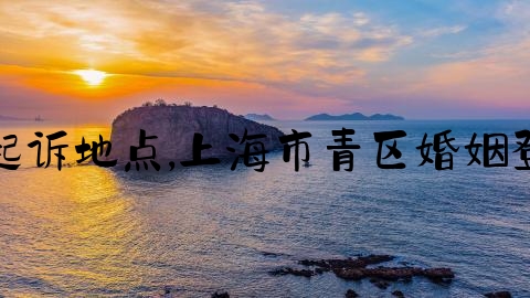 上海起诉地点,上海市青区婚姻登记处