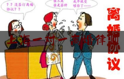 上海一对一离婚律师（电影大上海简介）