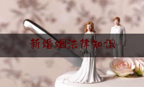 新婚姻法律知识（新婚姻法律知识培训）