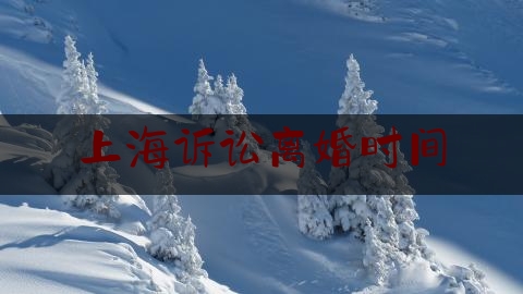 上海诉讼离婚时间（离婚打官司多久）