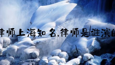 律师上海知名,律师是谁演的