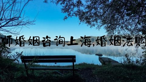 律师婚姻咨询上海,婚姻法购房