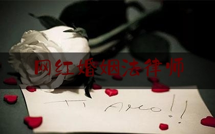 网红婚姻法律师（婚姻法律师怎么收费用标准）