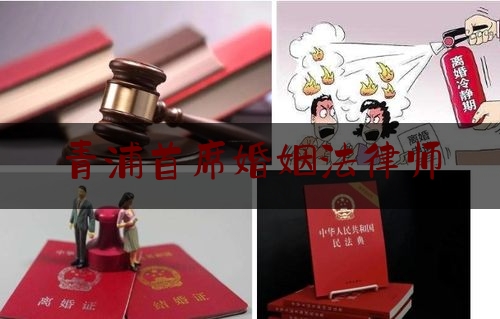 青浦首席婚姻法律师