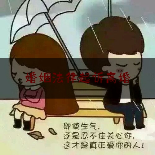 婚姻法律起诉离婚