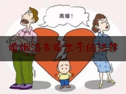 婚姻法未婚生子的法律