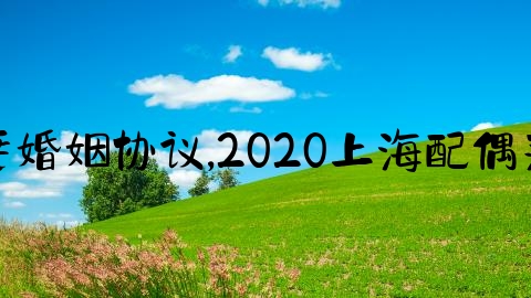 上海夫妻婚姻协议,2020上海配偶落户条件