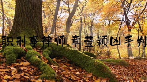 全职刑事律师,章莹颖凶手判刑