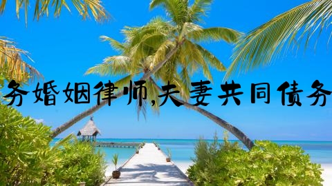 上海债务婚姻律师,夫妻共同债务请再审