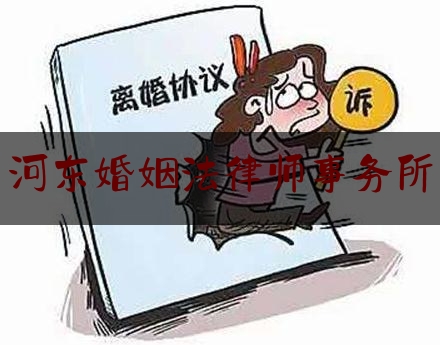 河东婚姻法律师事务所