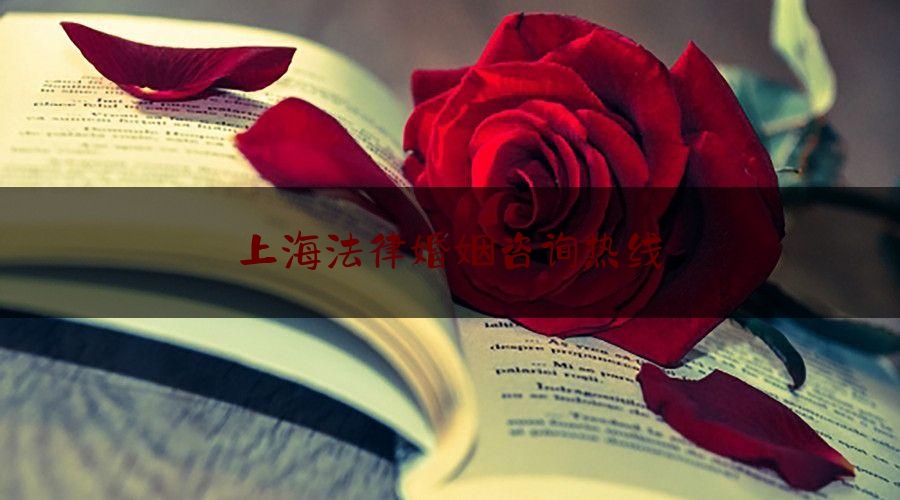 上海法律婚姻咨询热线