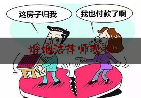 婚姻法律师现状（婚姻法律律师事务所）