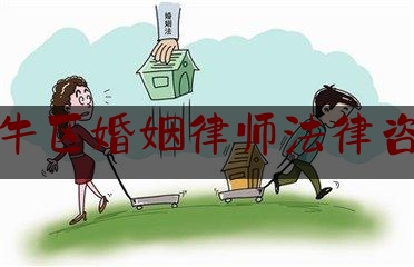 金牛区婚姻律师法律咨询