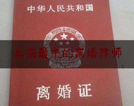 上海最牛的离婚律师（上海婚姻官司知名律师）