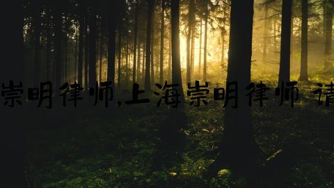 上海崇明律师,上海崇明律师 请律师