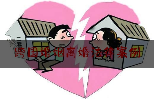 跨国婚姻离婚法律案例