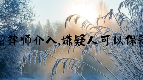 拘留律师介入,嫌疑人可以保释吗