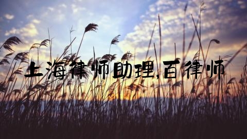 上海律师助理,百律师