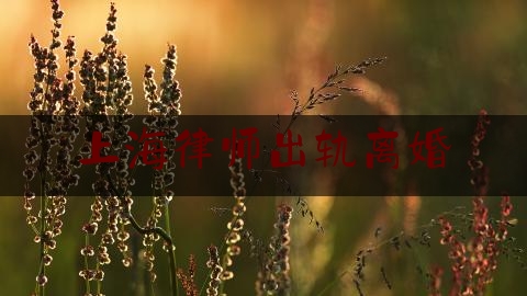 上海律师出轨离婚（出轨一方提出离婚怎么办）