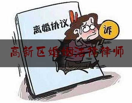 高新区婚姻法律律师