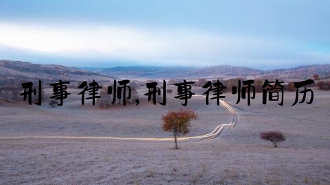 刑事律师,刑事律师简历