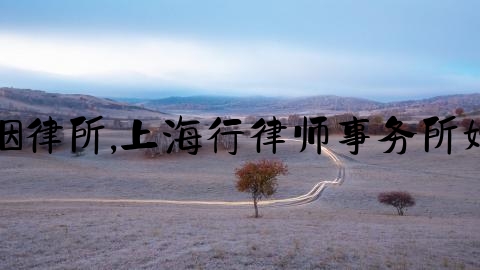 上海婚姻律所,上海行律师事务所婚姻律师