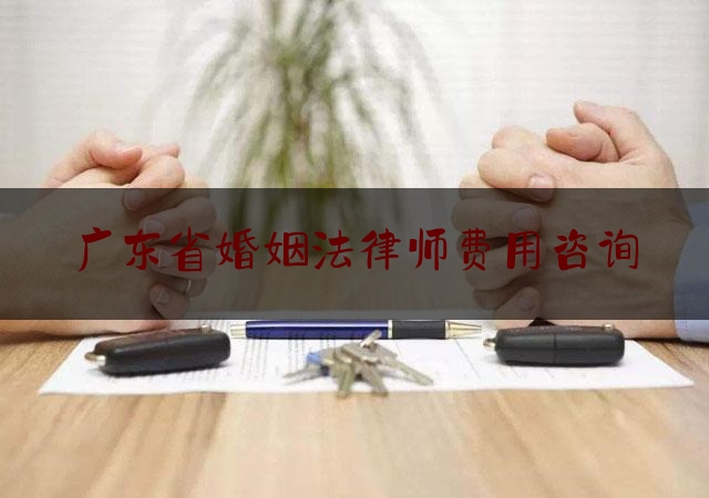 广东省婚姻法律师费用咨询