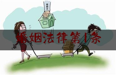 婚姻法律第1条