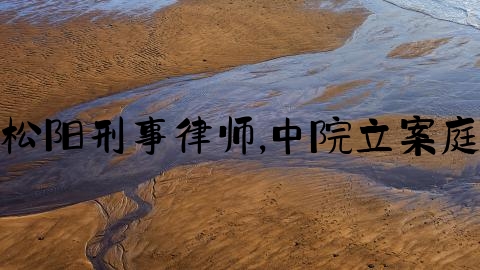 松阳刑事律师,中院立案庭