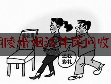 铜陵婚姻法律顾问收费