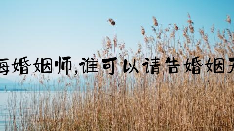 上海婚姻师,谁可以请告婚姻无效