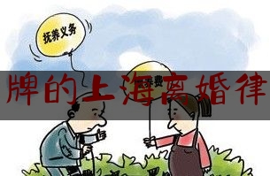 老牌的上海离婚律师（上海有名的婚姻律师有哪些）