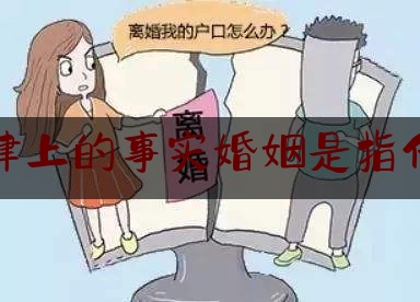 法律上的事实婚姻是指什么