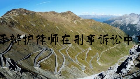 刑事律师圈,关于辩护律师在刑事诉讼中享有的诉讼权利