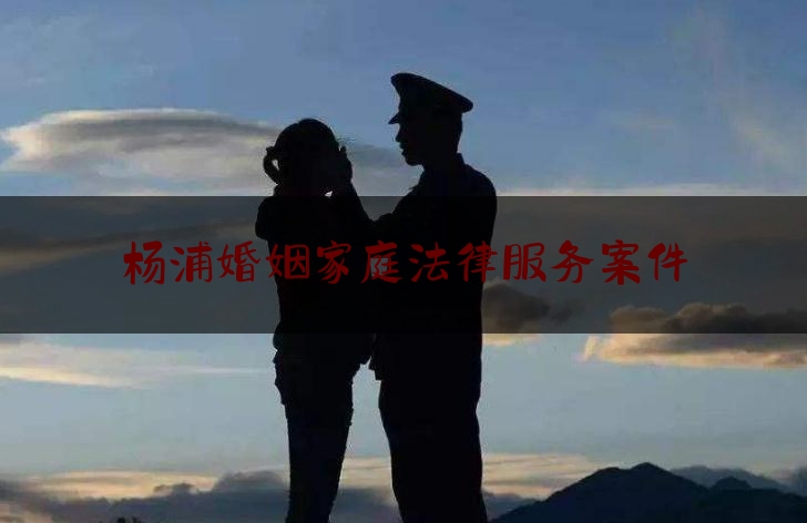 杨浦婚姻家庭法律服务案件
