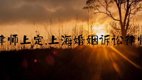 婚姻律师上定,上海婚姻诉讼律师咨询