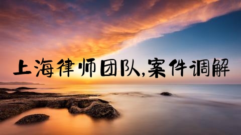 上海律师团队,案件调解