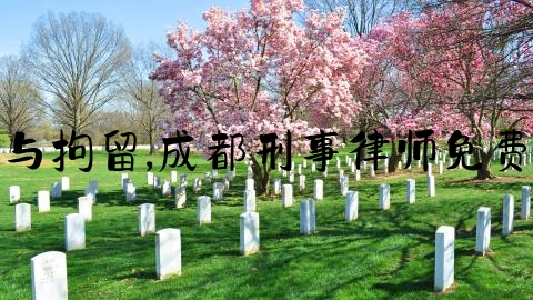 律师与拘留,成都刑事律师免费咨询