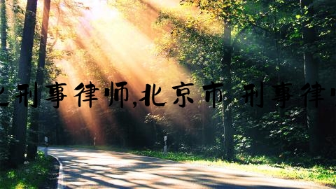 北刑事律师,北京市 刑事律师