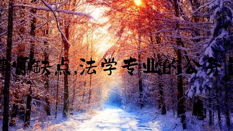 刑事律师缺点,法学专业的公务员岗位