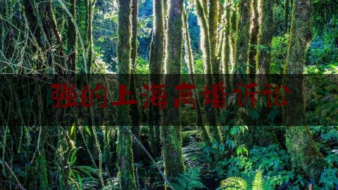 强的上海离婚诉讼(法院起诉离婚如何办理) 强的上海离婚诉讼(法院起诉离婚如何办理)
