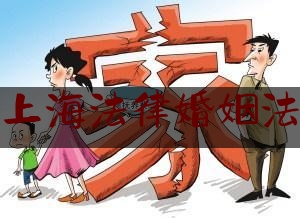 上海法律婚姻法（上海新婚姻法）