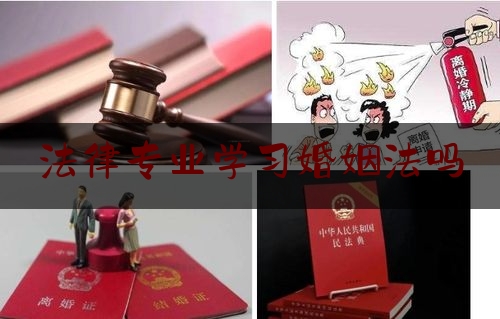 法律专业学习婚姻法吗