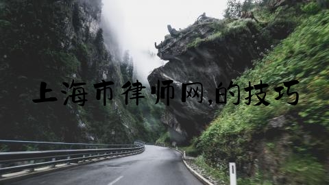 上海市律师网,的技巧