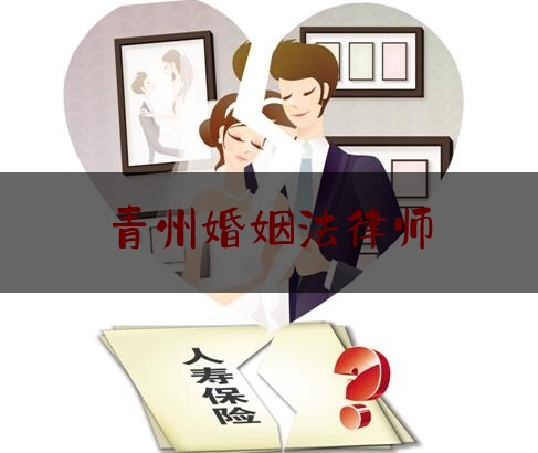 青州婚姻法律师（青州婚姻法律师电话号码）