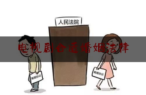 合适婚姻法律