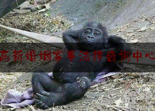 高新婚姻家事法律咨询中心