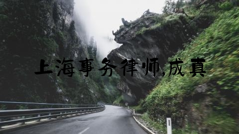 上海事务律师,成真