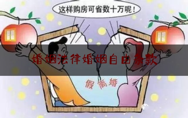 婚姻法律婚姻自由条款